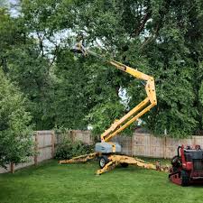 Best Hedge Trimming  in Germantown, OH